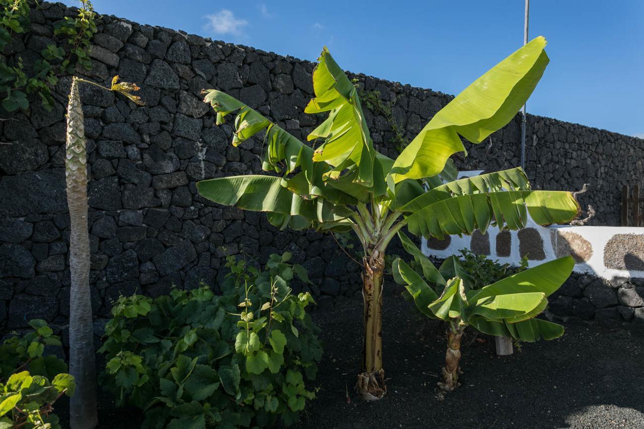 Villa El Jable Lanzarote 테기세 외부 사진